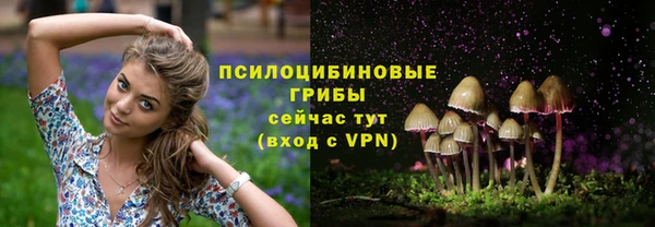 винт Алексеевка