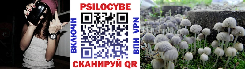 Купить закладки  Спасск-Дальний  Псилоцибиновые грибы Psilocybine cubensis 